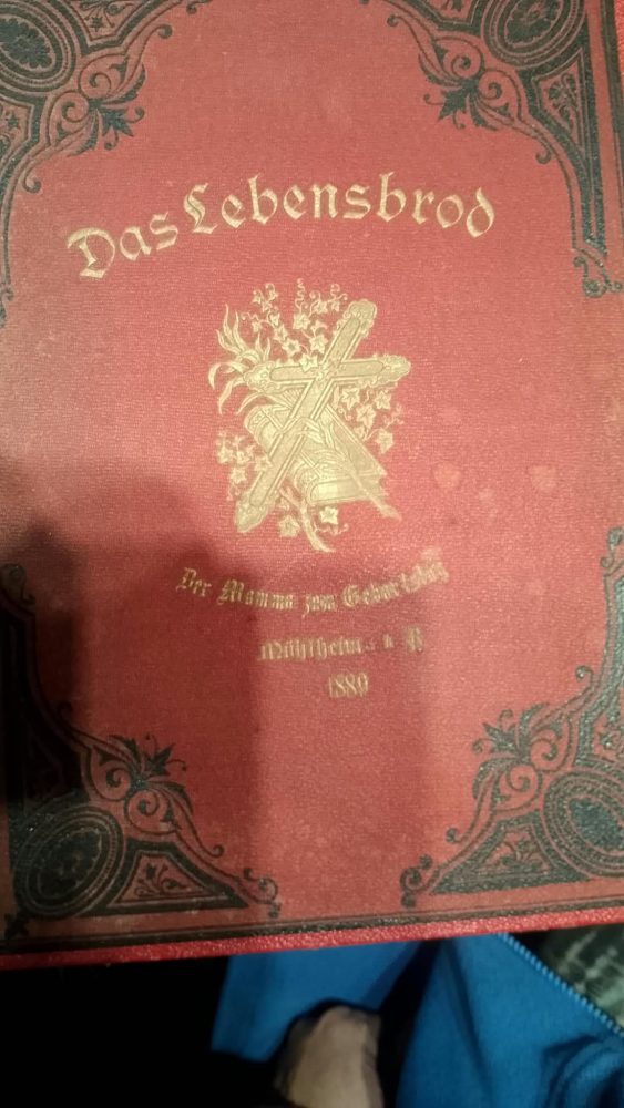 Ancient Book “The Life Bread” from 1880 – Beautiful Magnificent Cover